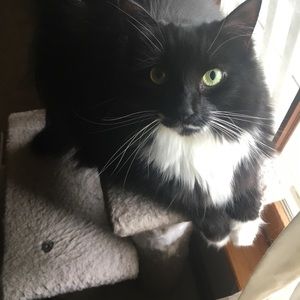 Meet your Posher, Cindy